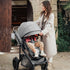 Romer Tura Stroller, Portable Toddler and Baby Stroller, Pearl