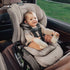 Romer Veni Convertible Car Seat, Two-Stage Car Seat with Slim 17” Design and SecureLoc, Truffle