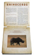 Safari: A Photicular Book
