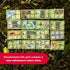 Haba Stuglandet Cabin Game