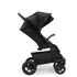 Tavo™ Next + Pipa™ RX