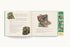 Harper Collins Focus The Classic Tale of Peter Rabbit: A Press and Play Storybook