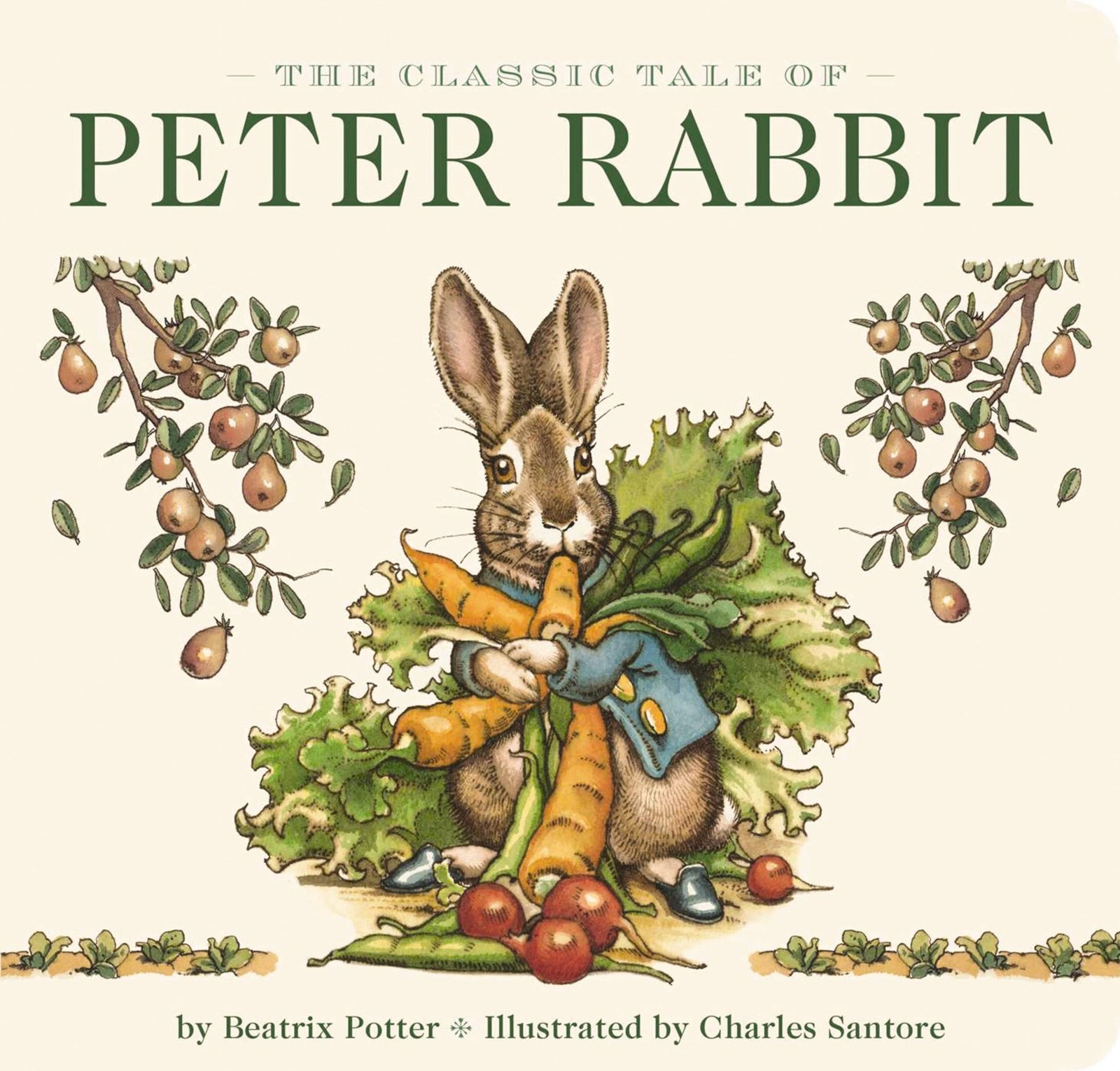 Harper Collins Focus The Classic Tale of Peter Rabbit Board Book (The Revised Edition)