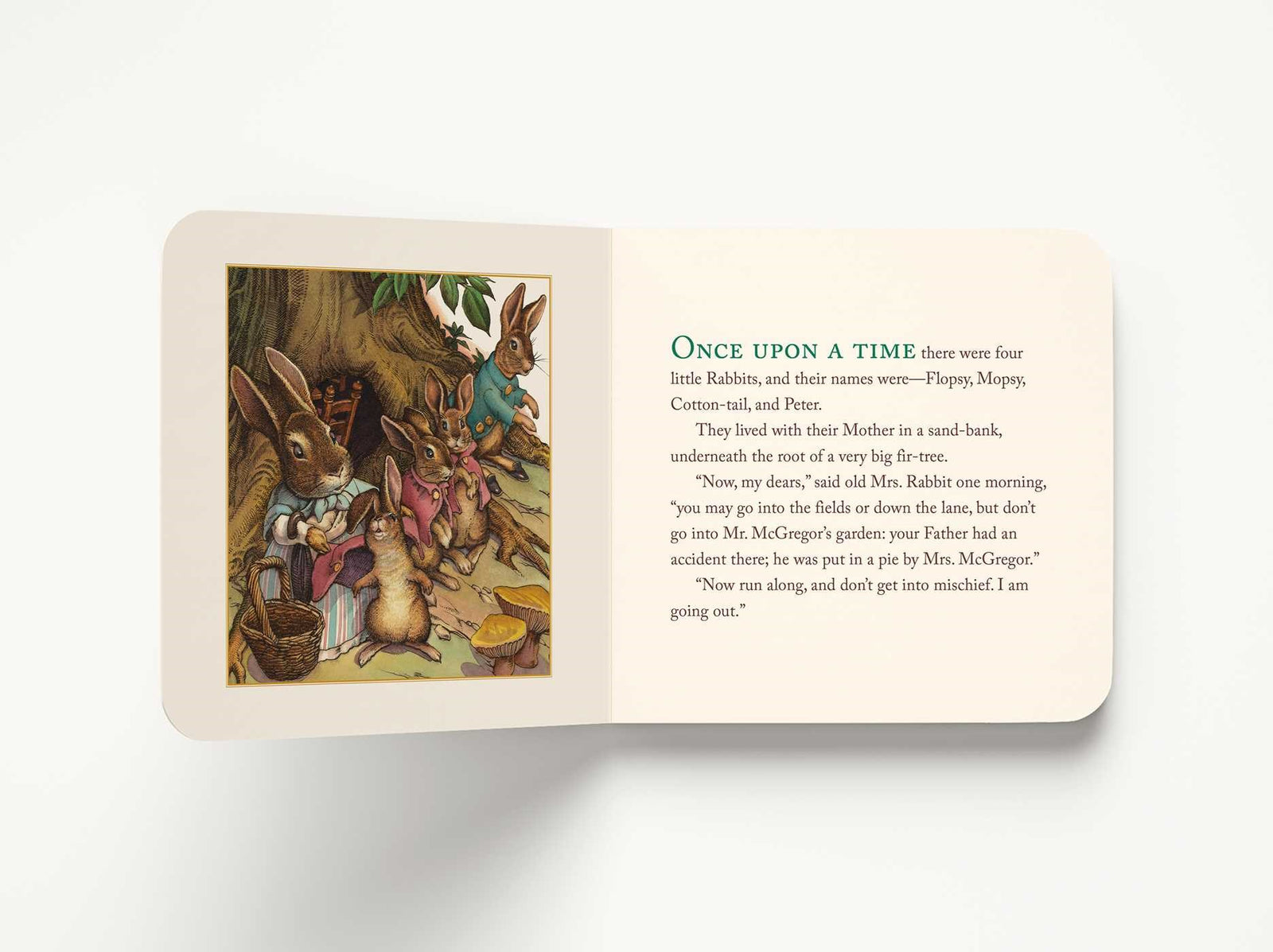 Harper Collins Focus The Classic Tale of Peter Rabbit Board Book (The Revised Edition)