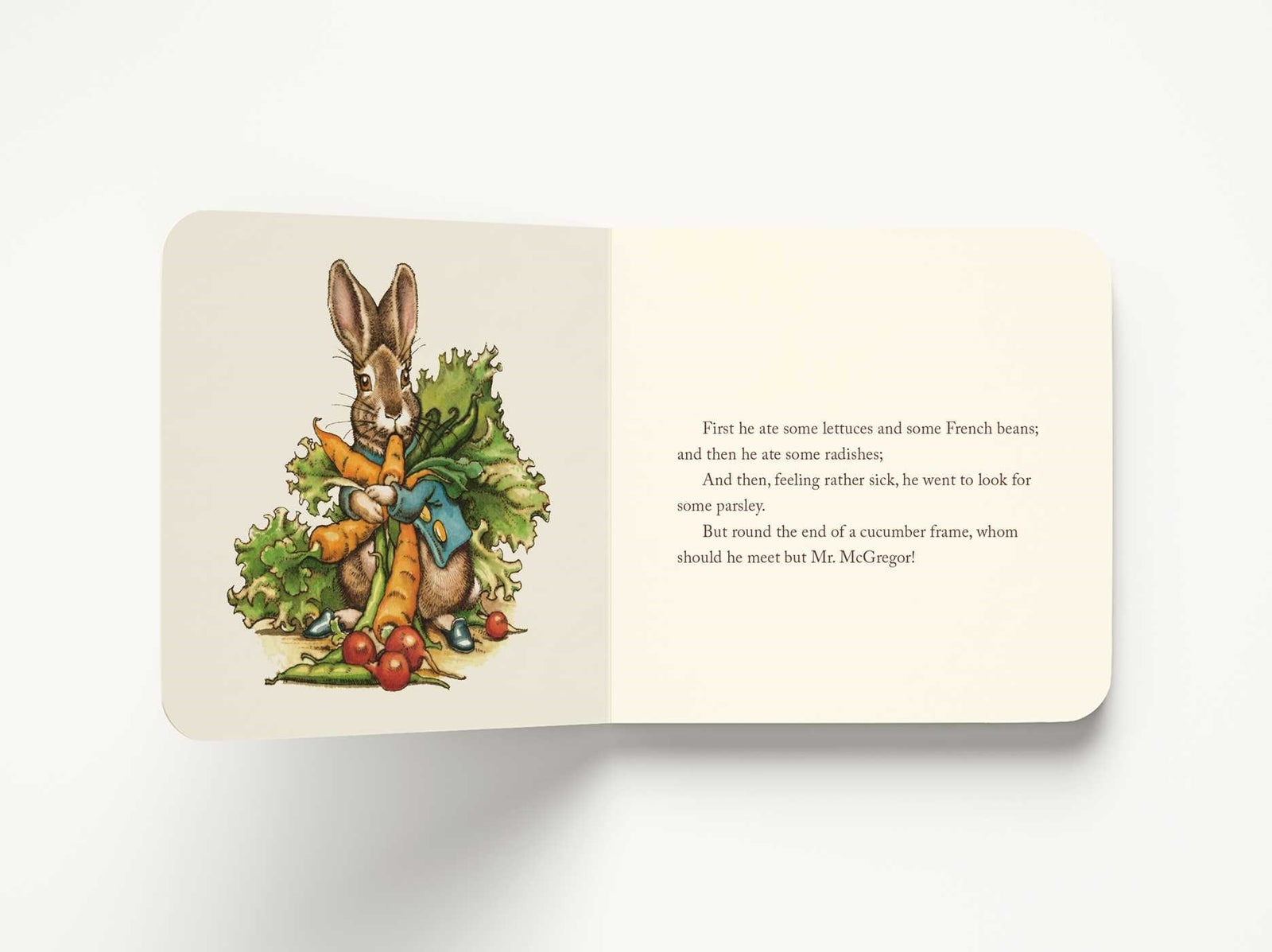 Harper Collins Focus The Classic Tale of Peter Rabbit Board Book (The Revised Edition)