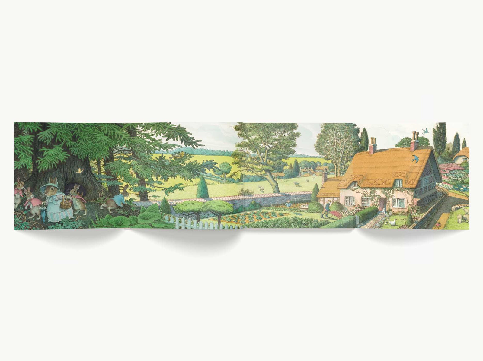 Harper Collins Focus The Classic Tale of Peter Rabbit Classic Heirloom Edition