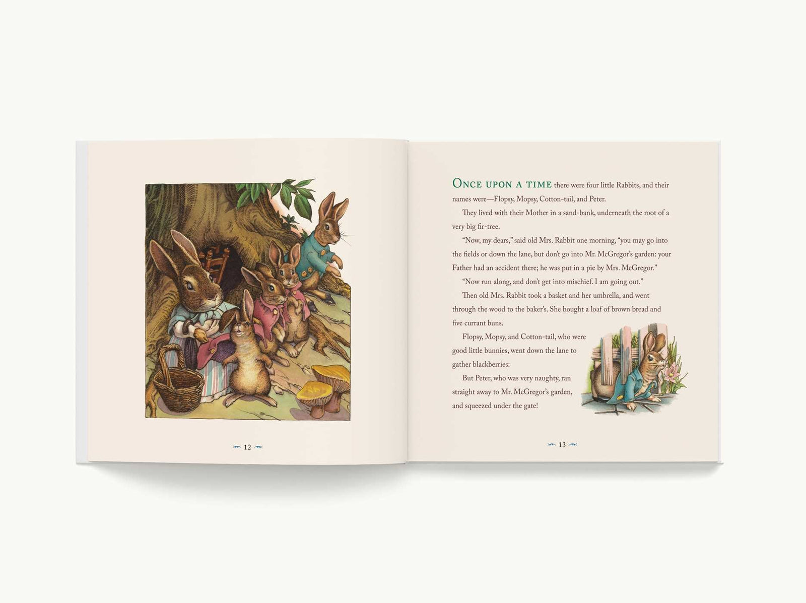 Harper Collins Focus The Classic Tale of Peter Rabbit Classic Heirloom Edition