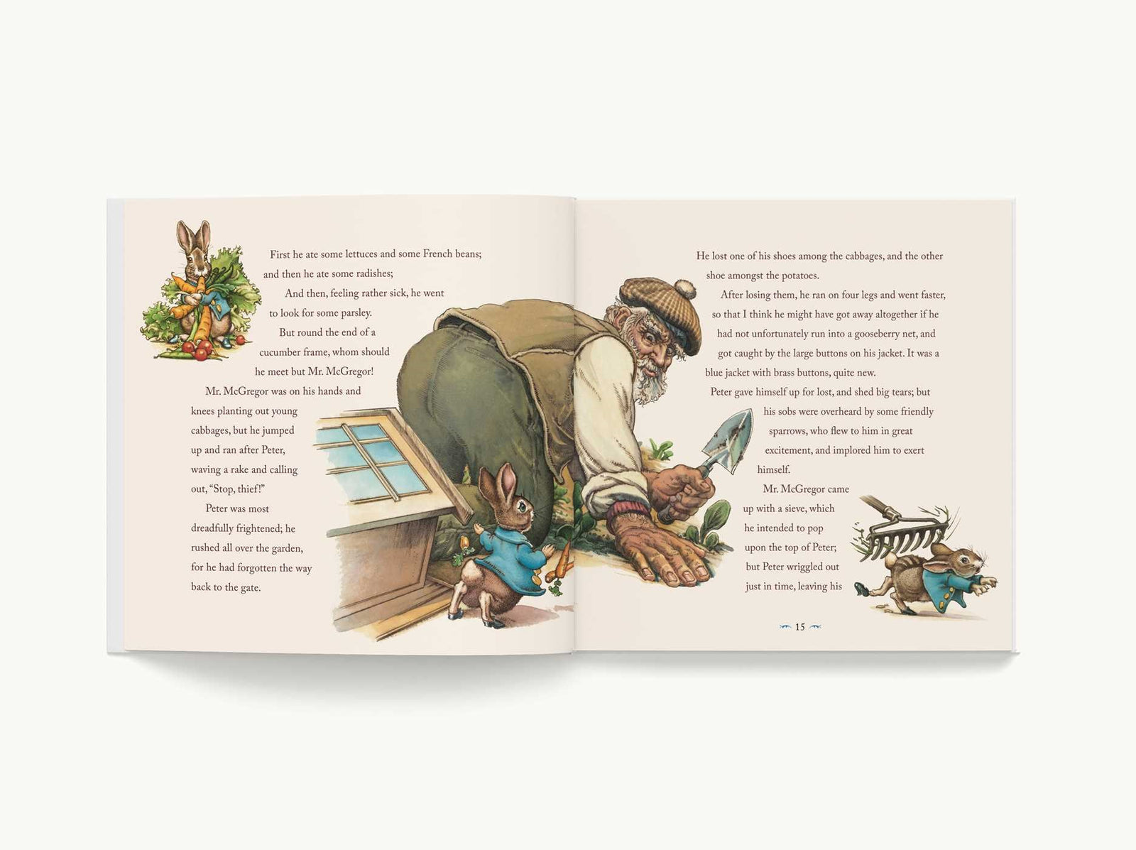 Harper Collins Focus The Classic Tale of Peter Rabbit Classic Heirloom Edition