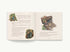 Harper Collins Focus The Classic Tale of Peter Rabbit Classic Heirloom Edition