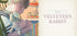 Harper Collins Focus The Illustrated Treasury of Classic Children's Stories, Illustrated by Charles Santore