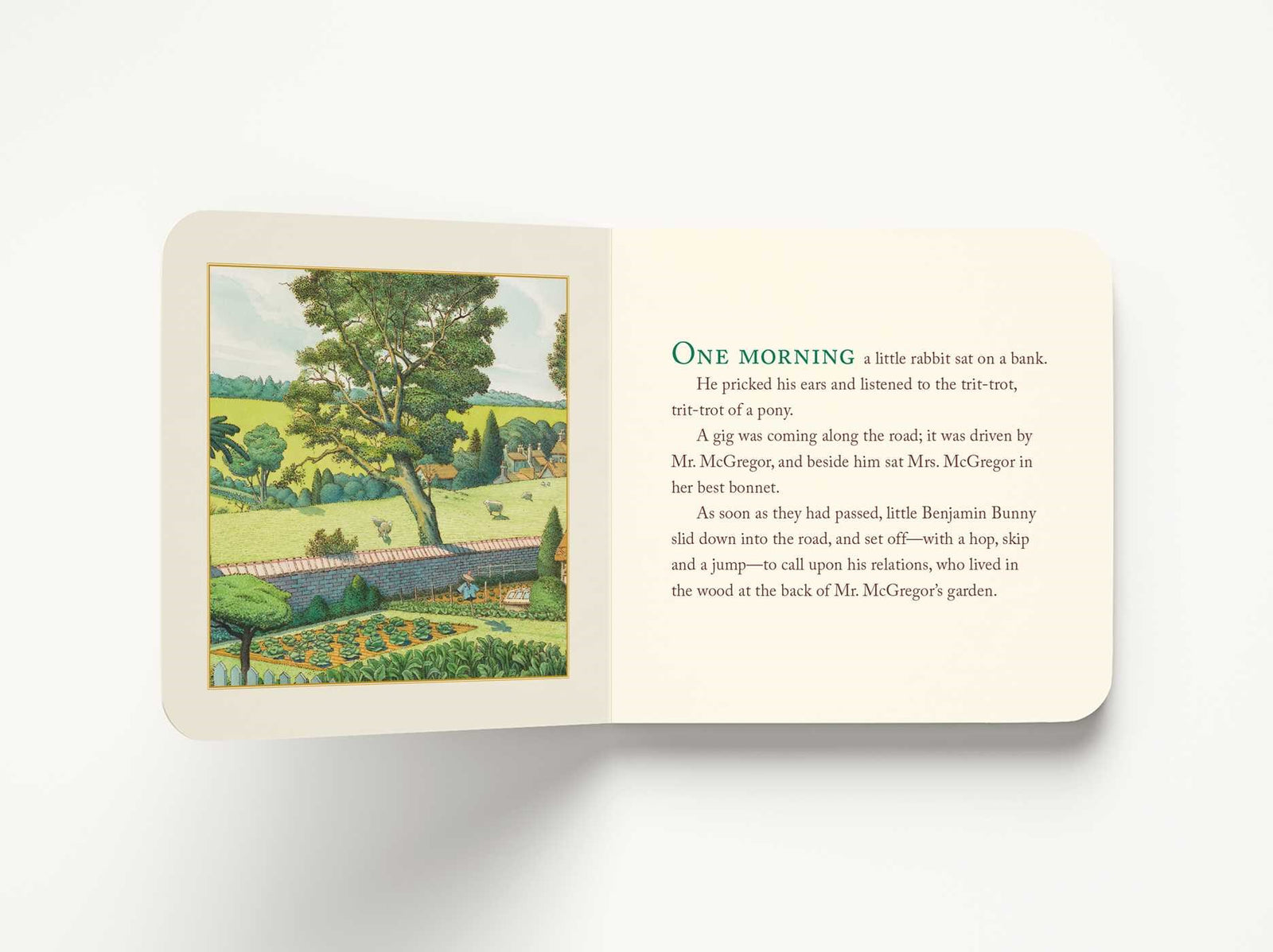 Harper Collins Focus The Peter Rabbit Classic Collection (The Revised Edition)