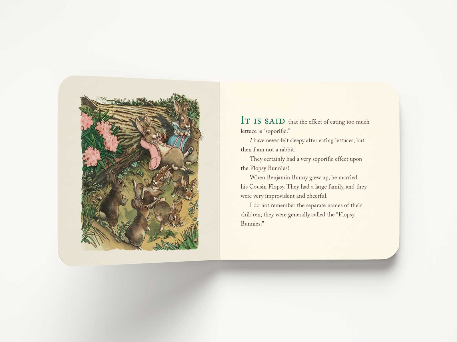 Harper Collins Focus The Peter Rabbit Classic Collection (The Revised Edition)