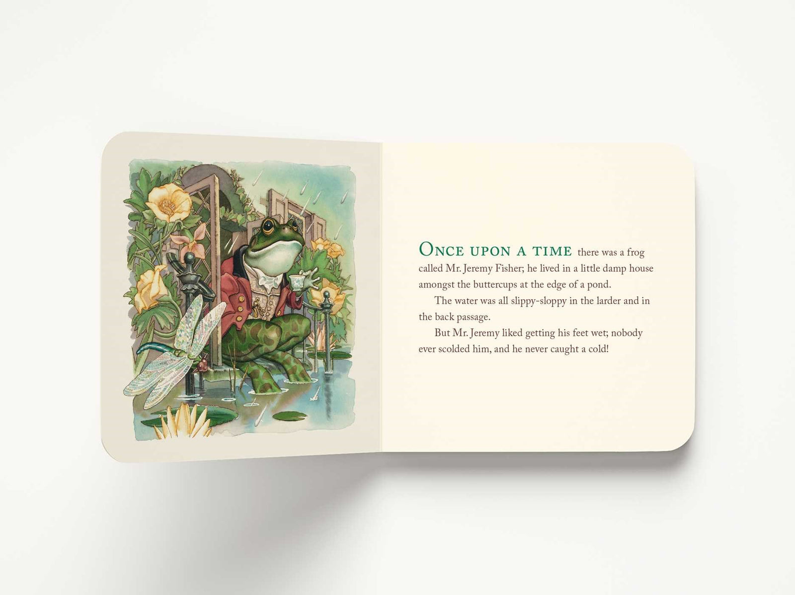 Harper Collins Focus The Peter Rabbit Classic Collection (The Revised Edition)
