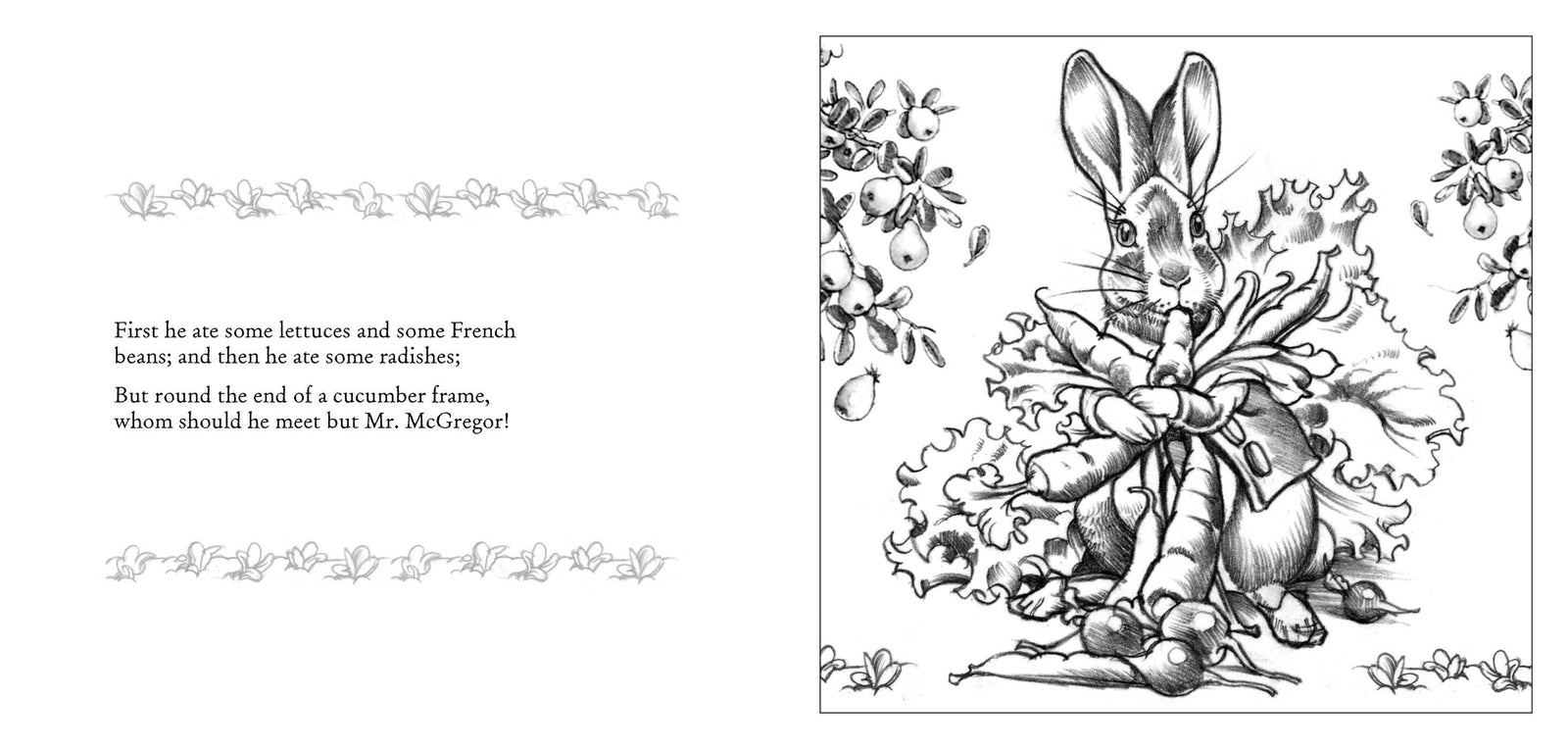 Harper Collins Focus The Peter Rabbit Coloring Book: The Classic Edition Coloring Book