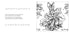 Harper Collins Focus The Peter Rabbit Coloring Book: The Classic Edition Coloring Book