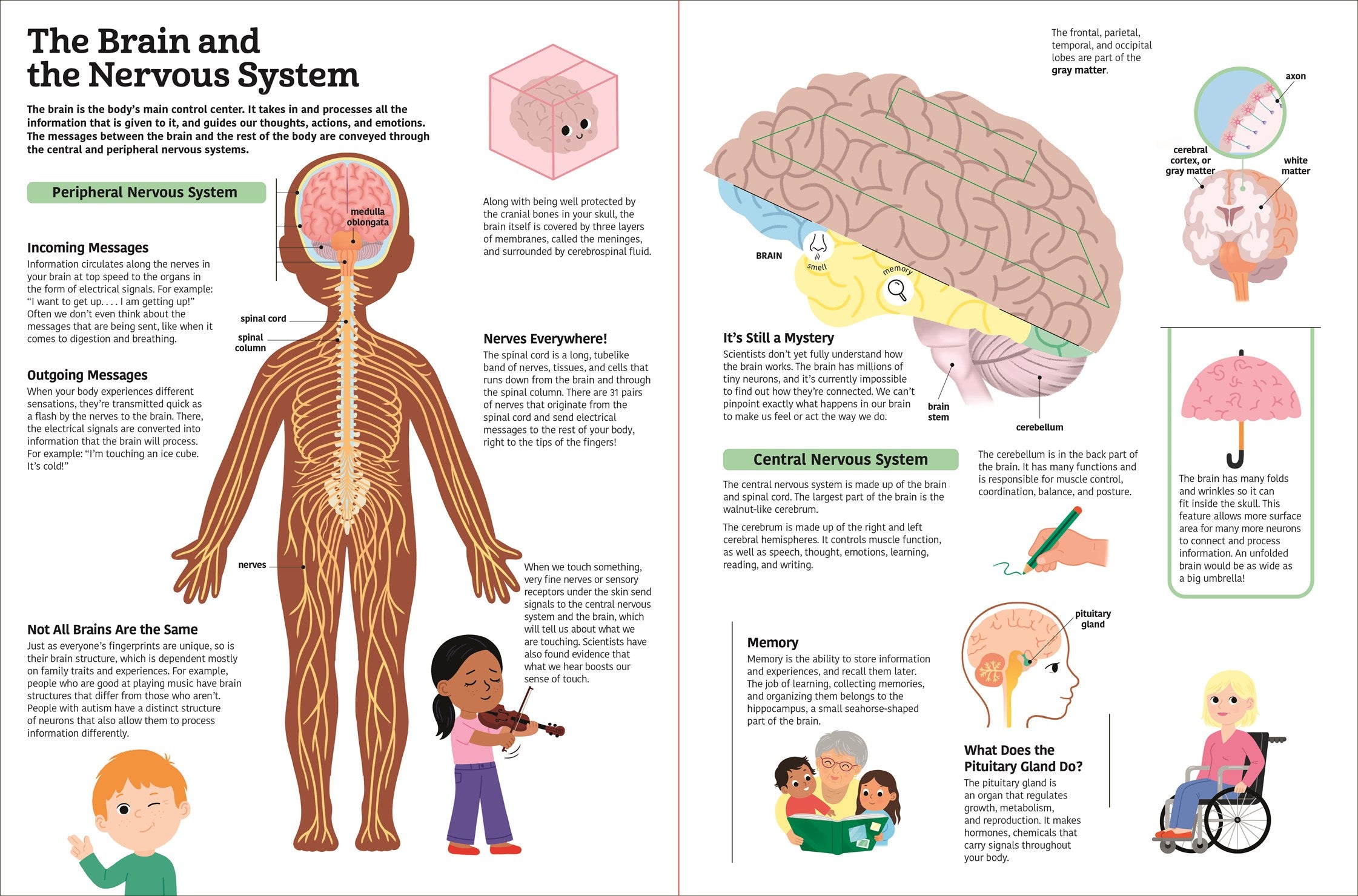 The Ultimate Book of the Human Body