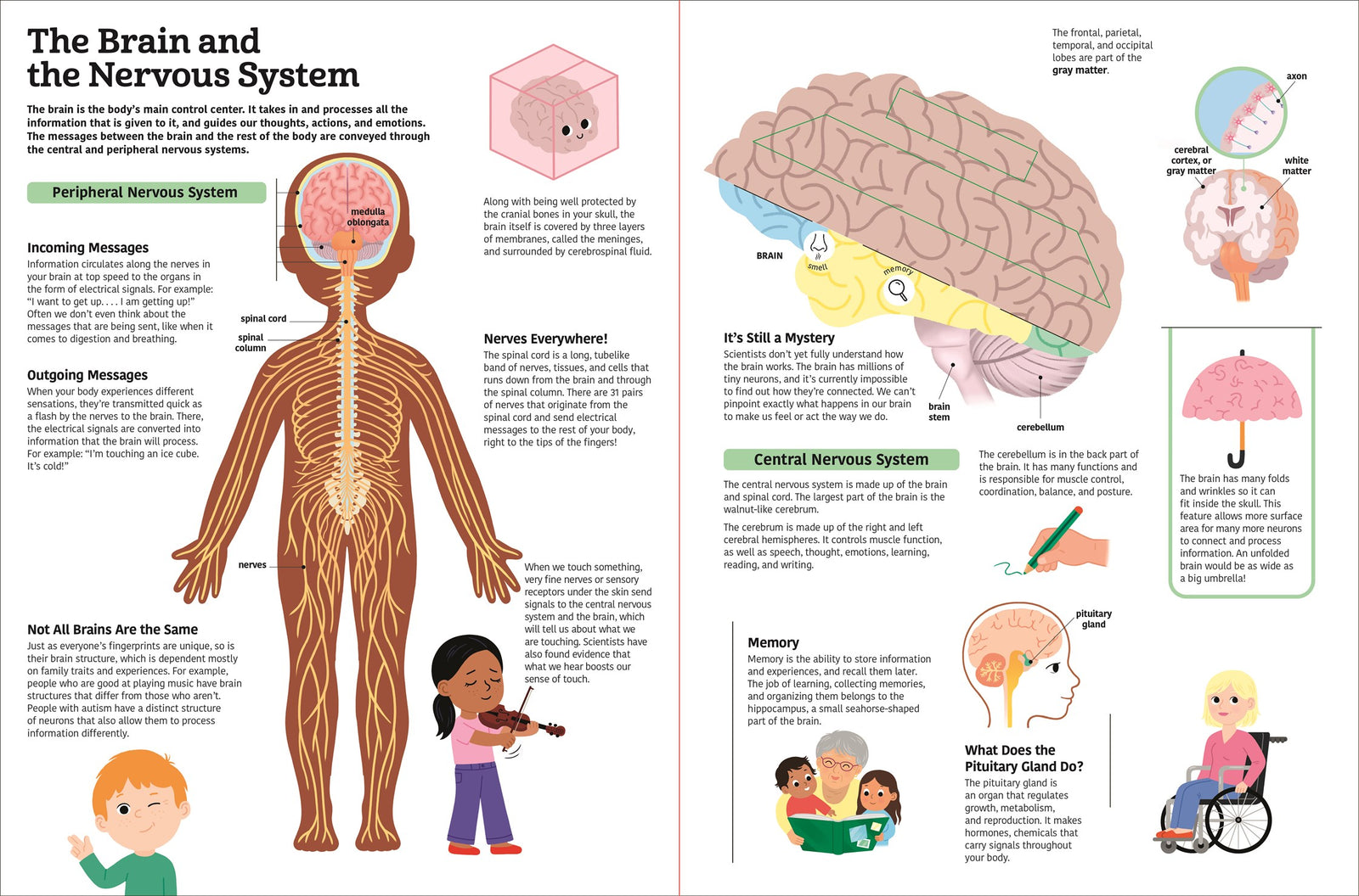 The Ultimate Book of the Human Body