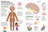 The Ultimate Book of the Human Body