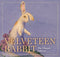 Harper Collins Focus The Velveteen Rabbit: The Classic Edition