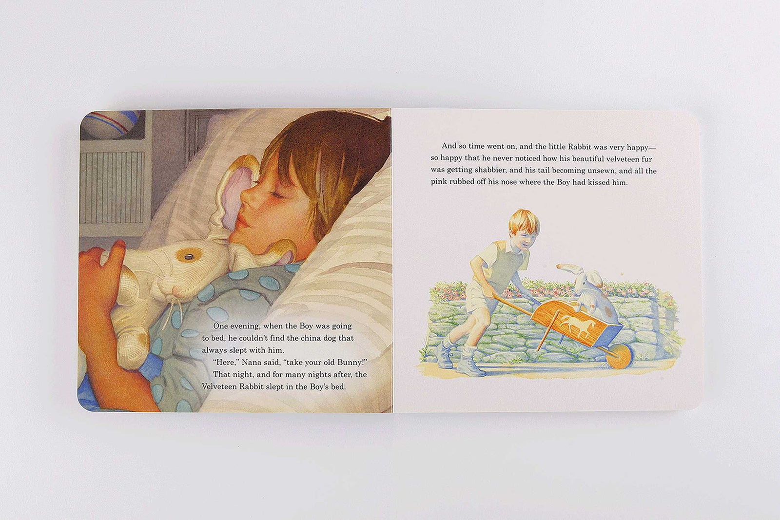 Harper Collins Focus The Velveteen Rabbit Plush Gift Set