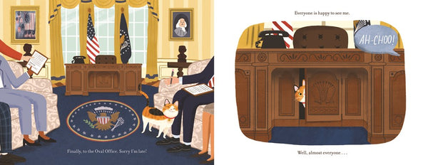 The White House Cat