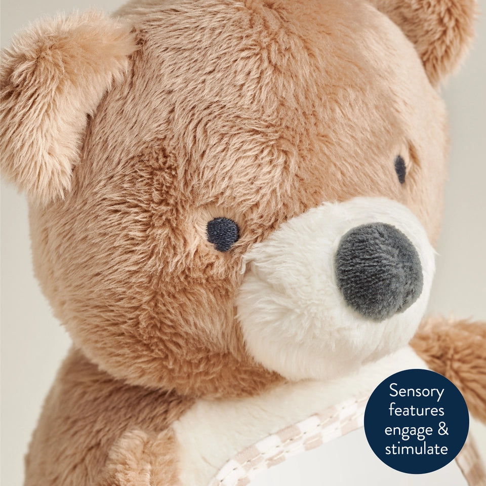 Itzy Ritzy Theo the Bear - Itzy Bitzy Mirror™ Travel + Tummy Time Toy
