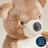 Itzy Ritzy Theo the Bear - Itzy Bitzy Mirror™ Travel + Tummy Time Toy