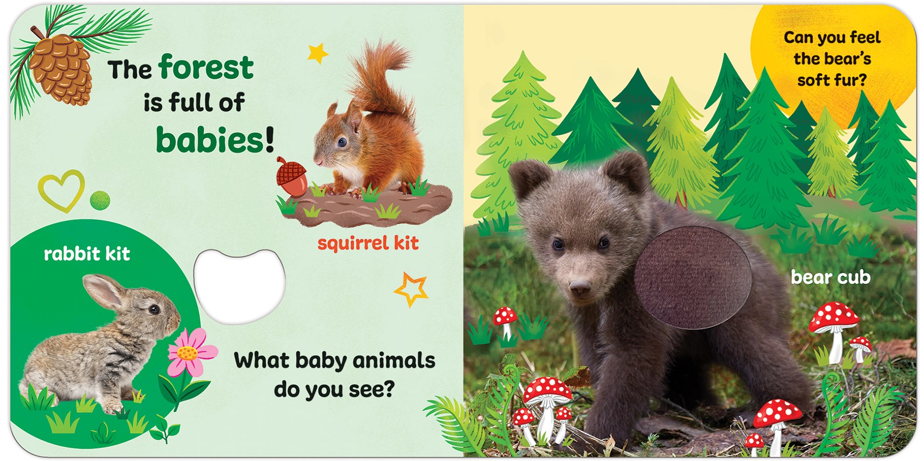 Touch & Feel Forest Babies