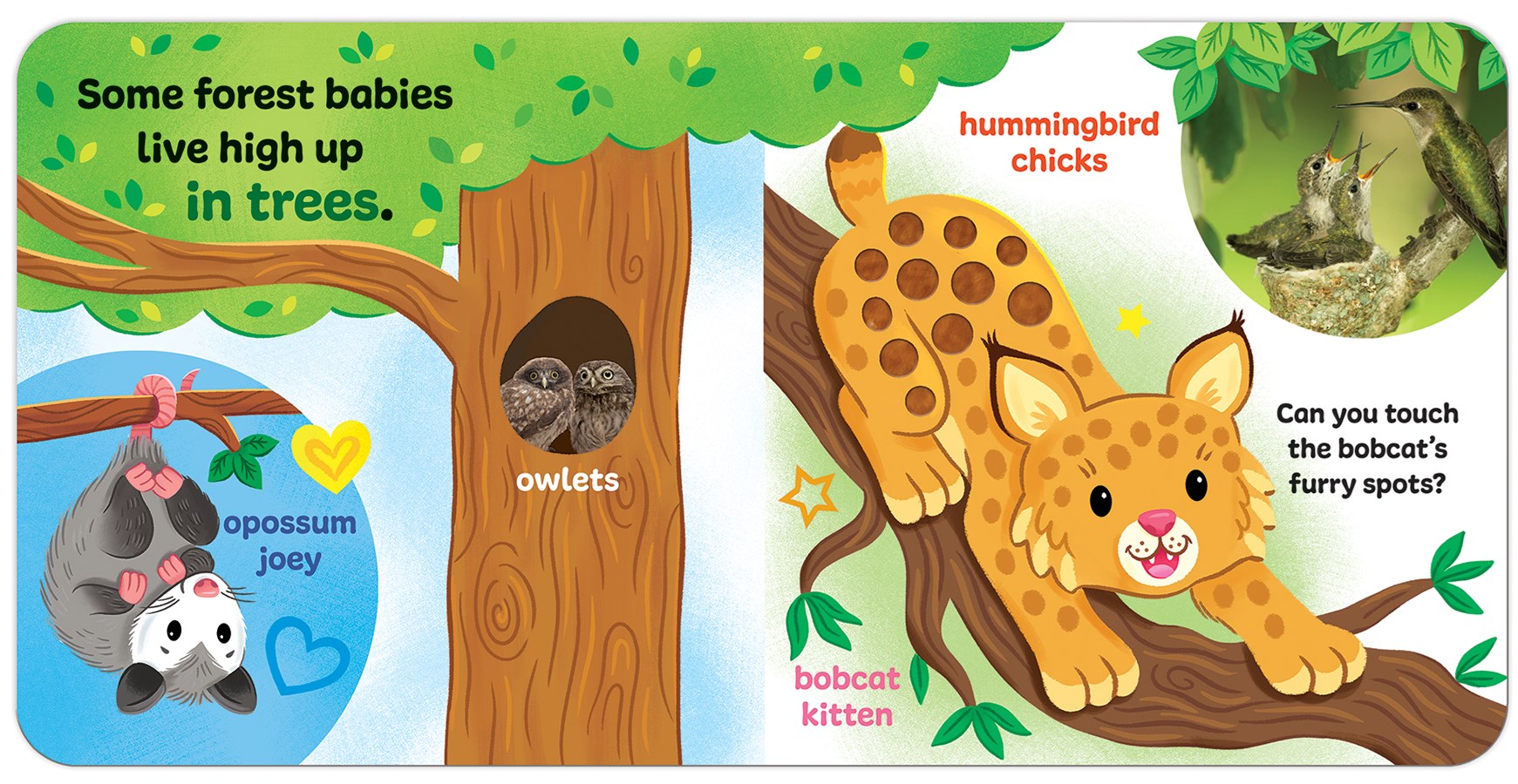 Touch & Feel Forest Babies