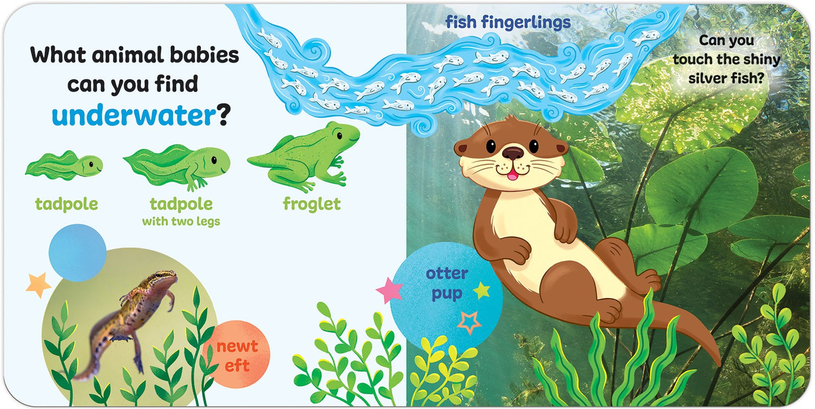 Touch & Feel Forest Babies