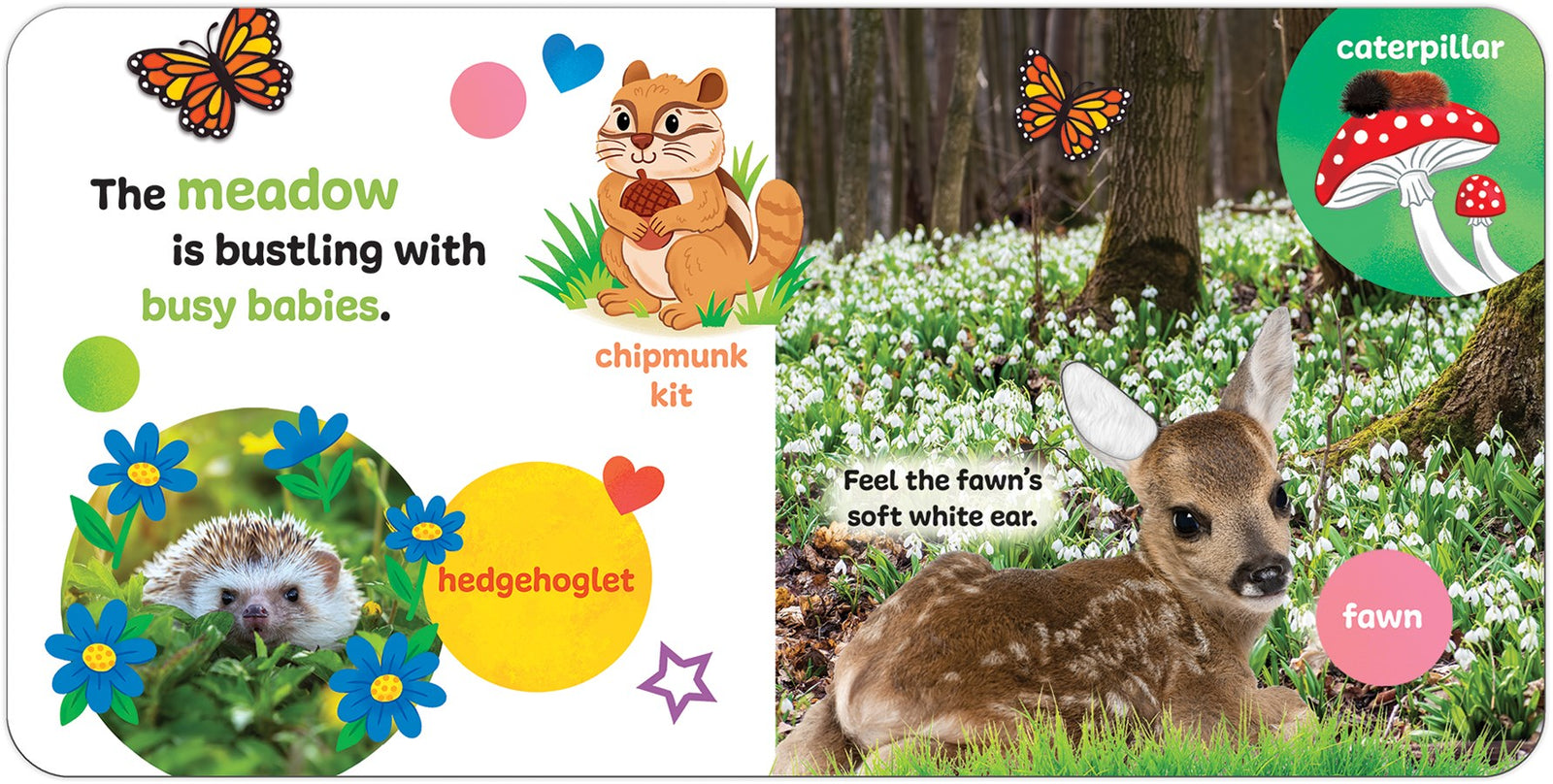 Touch & Feel Forest Babies