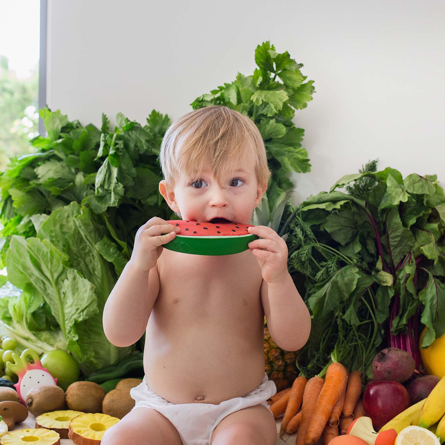 Oli & Carol Wally The Watermelon, Bath Toy & Teether