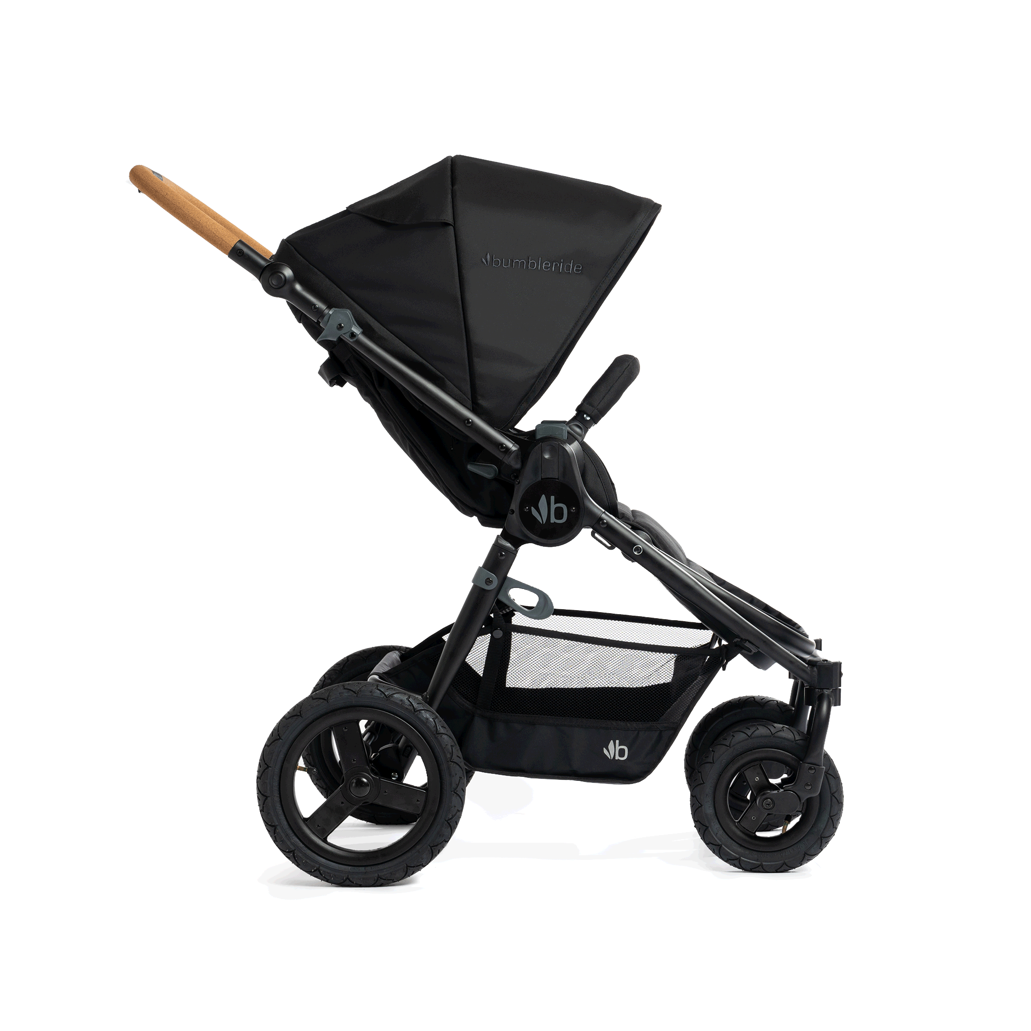 Era (E-480): Reversible Stroller