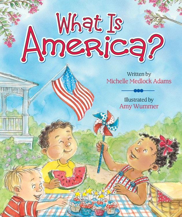 Hachette Book Group What Is America?