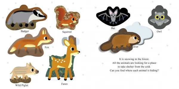 Schiffer Publishing Who Is Hiding in the Forest?