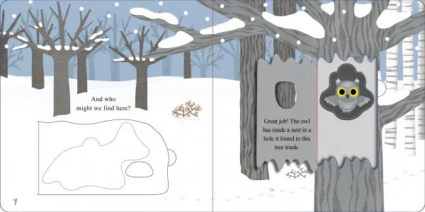 Schiffer Publishing Who Is Hiding in the Forest?