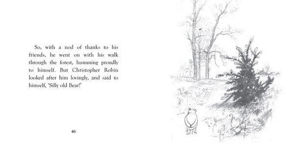 Winnie-the-Pooh: Pooh Goes Visiting