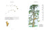 Harper Collins Winnie-the-Pooh: The Complete Collection