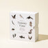 Paige Tate & Co Baby's Tummy Time Book Box Set