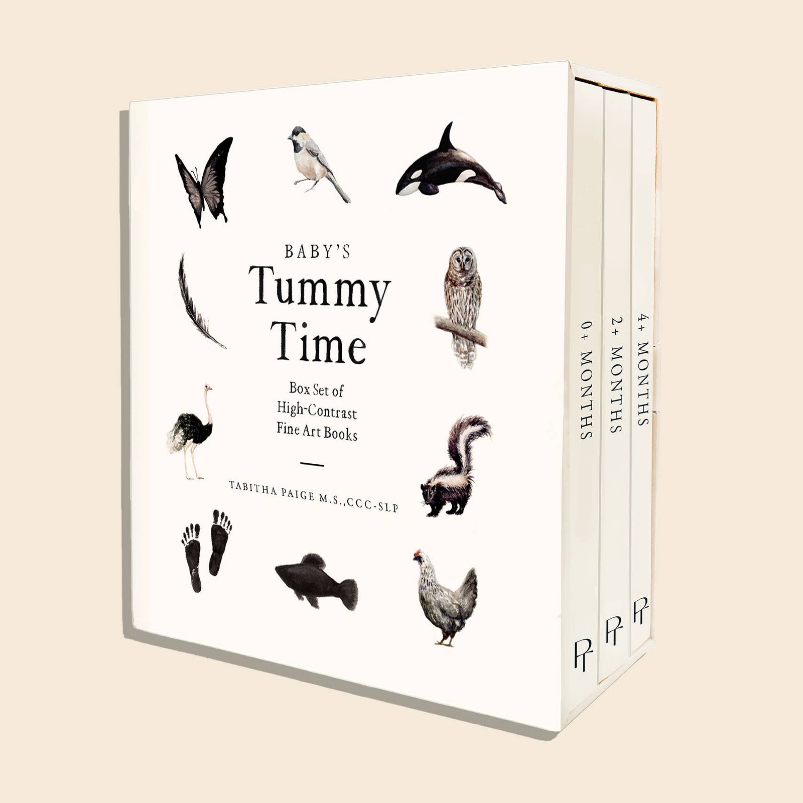 Paige Tate & Co Baby's Tummy Time Book Box Set
