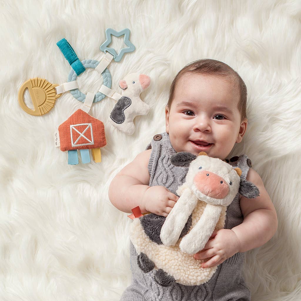 Itzy Ritzy Bitzy Busy Ring™ Teething Activity Toy, Farm
