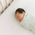 Crane Baby Cove Fitted Crib Sheet (Hashtag)