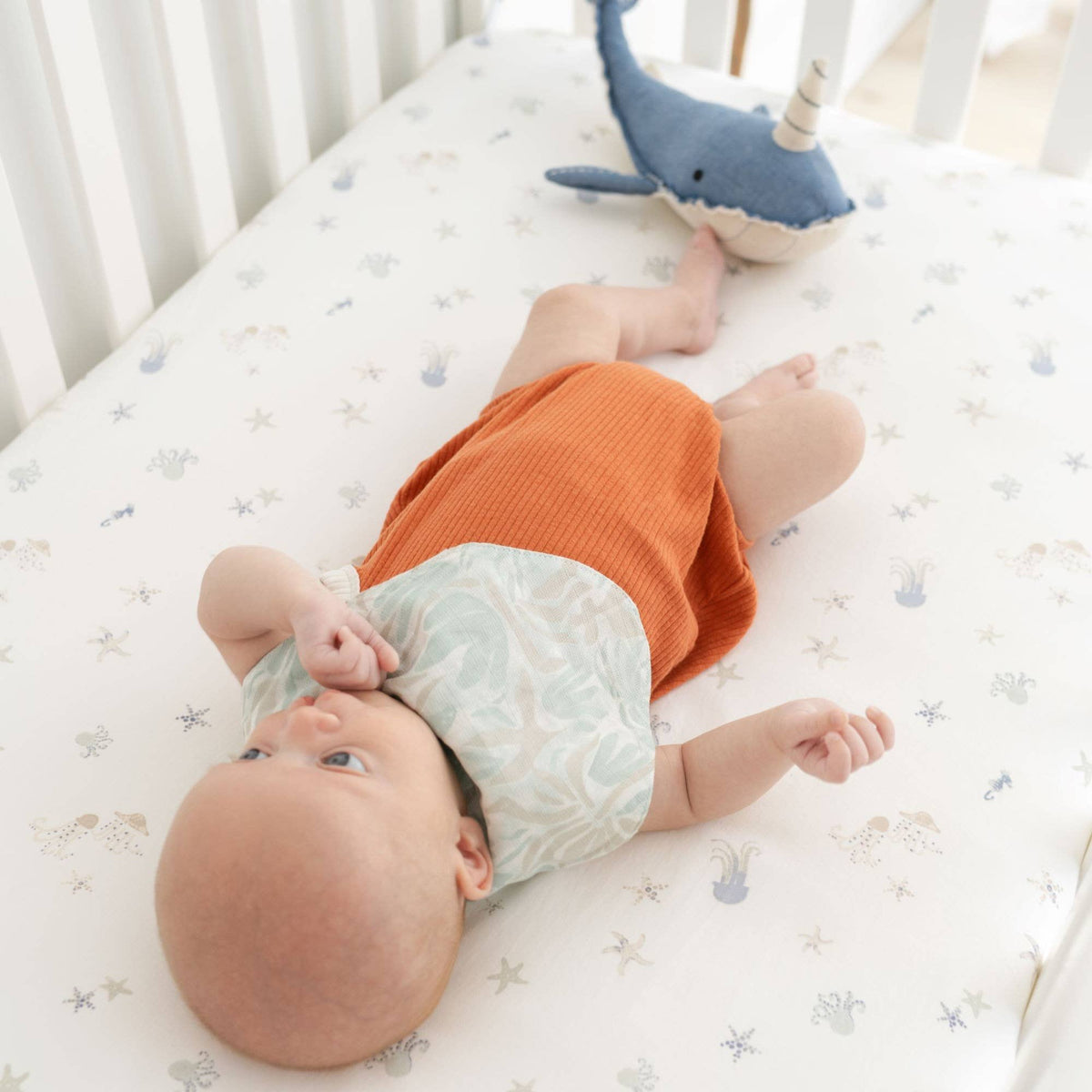 Crane Baby Cove Fitted Crib Sheet - Sea Life
