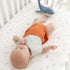 Crane Baby Cove Fitted Crib Sheet - Sea Life