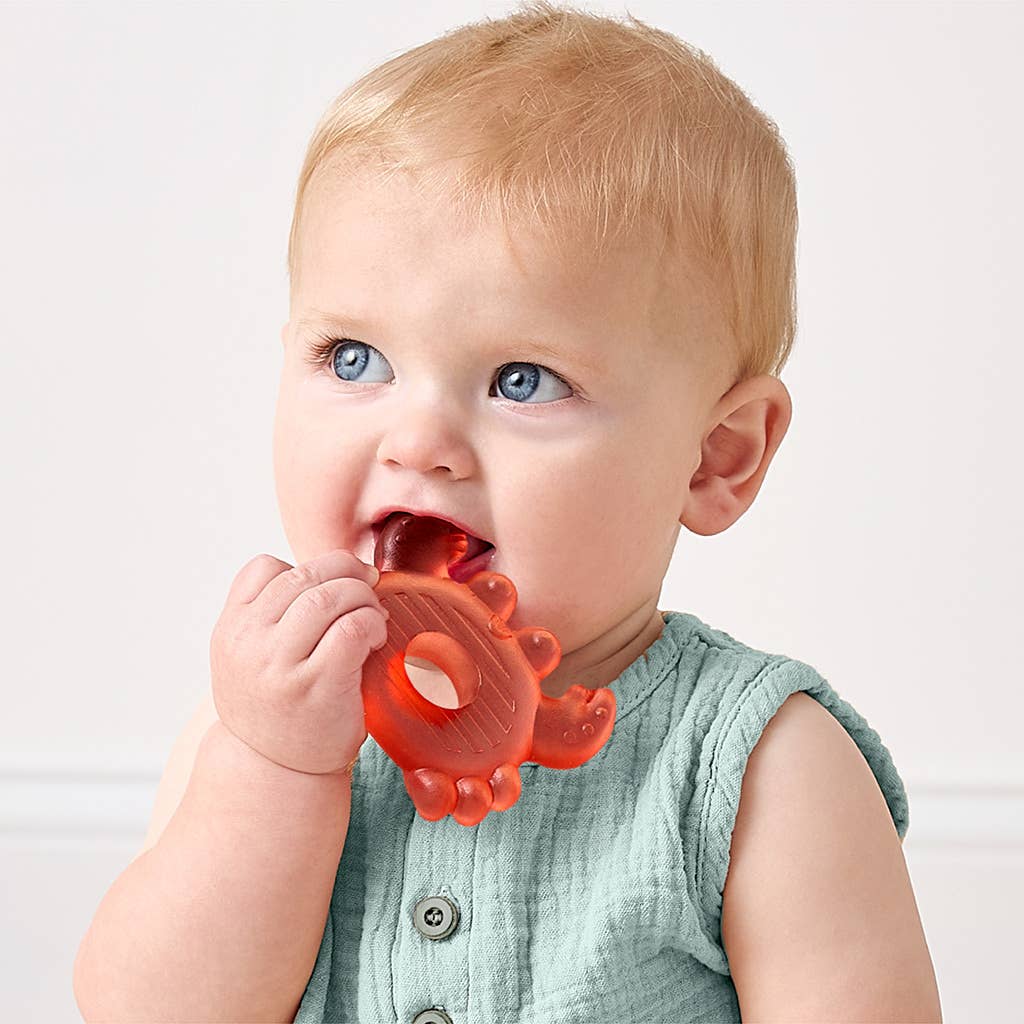 Itzy Ritzy Nautical Cutie Coolers™ Soothing Water-Filled Teethers