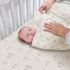 Crane Baby Organic Cotton Bunny Fitted Crib Sheet