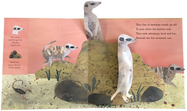 Across the Savannah Pop-Up