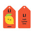 Hachette Book Group A is for Avocado Flash Cards