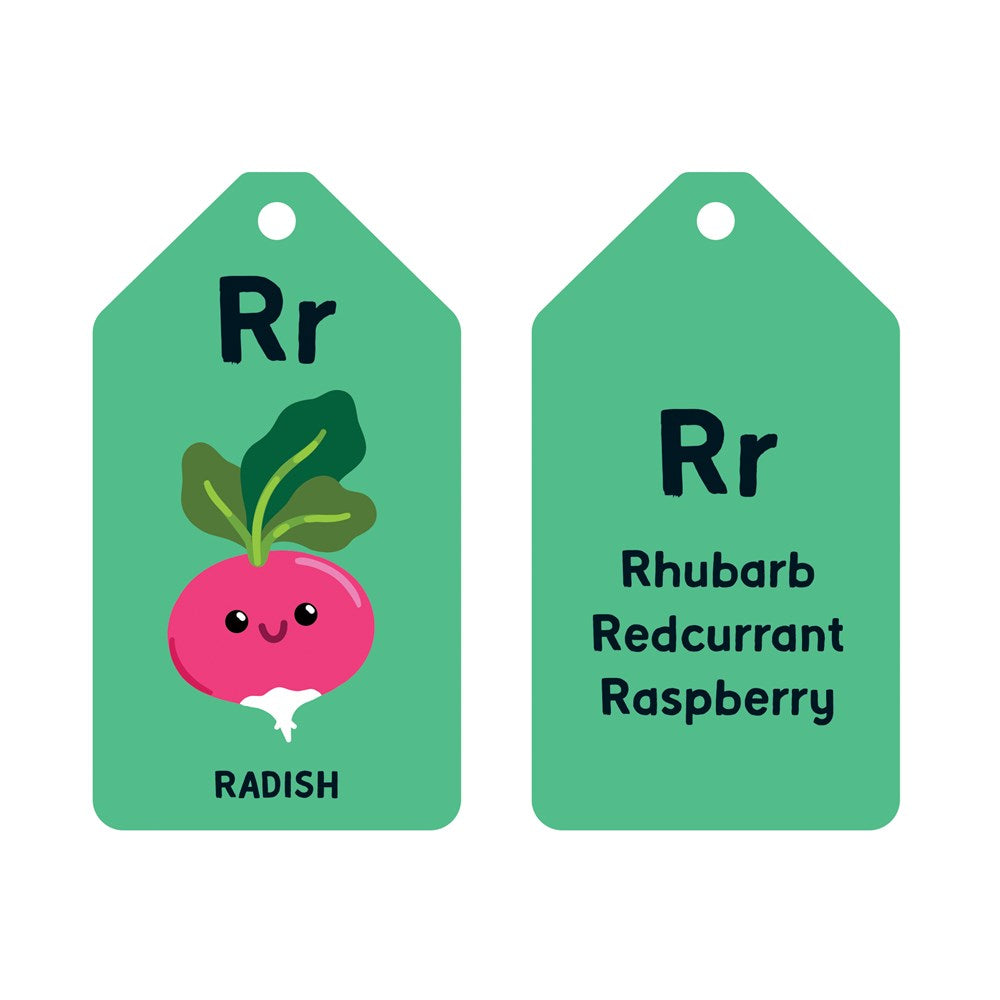 Hachette Book Group A is for Avocado Flash Cards