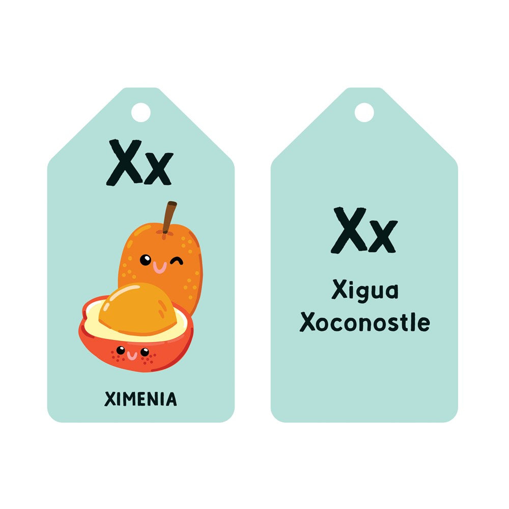 Hachette Book Group A is for Avocado Flash Cards